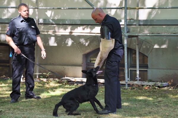 Polizeidirektion   071.jpg